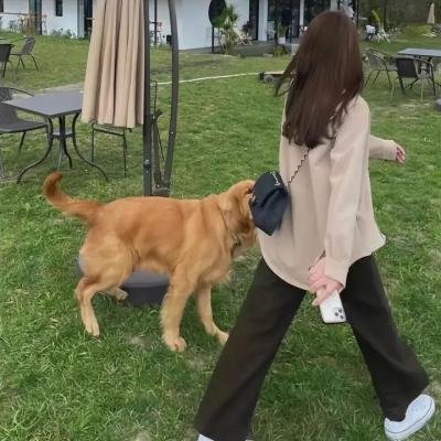扫毒风云之因货起的祸