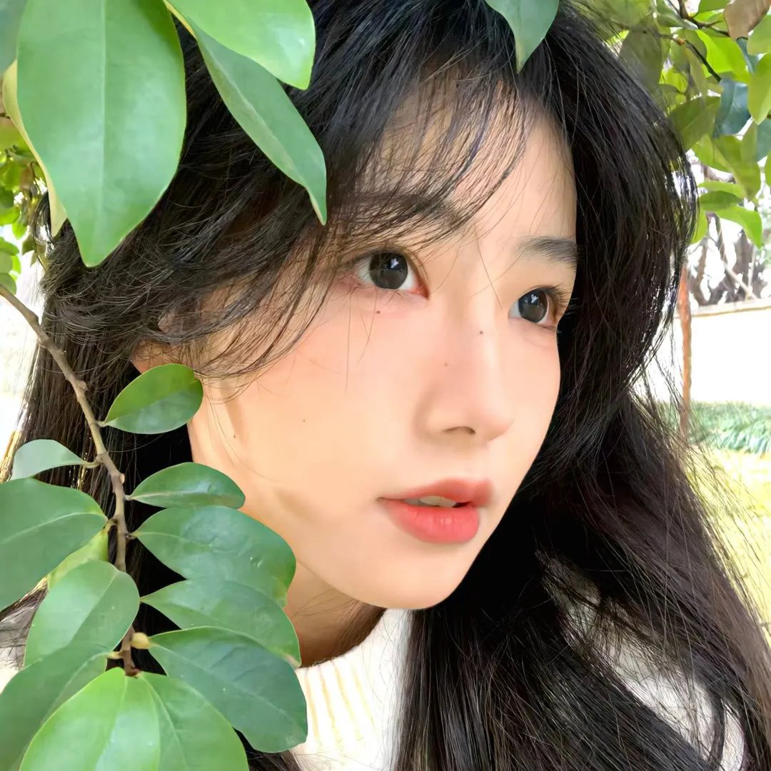 蜂群第一季